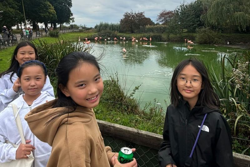 Four pupils smiling in front of the flamingo enclosure.