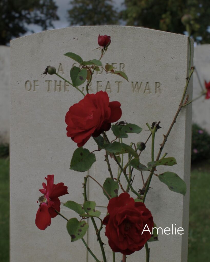 Amelie's picture of rose in front of a soldier's headstone.