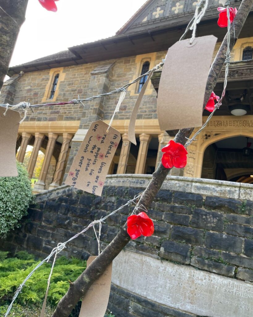A small tree covered with barbed wire and plastic poppies. Post tags with poems on hang from the tree.
