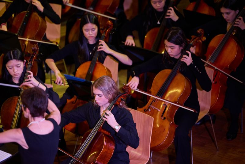 The celloists in the Symphony Orchestra.