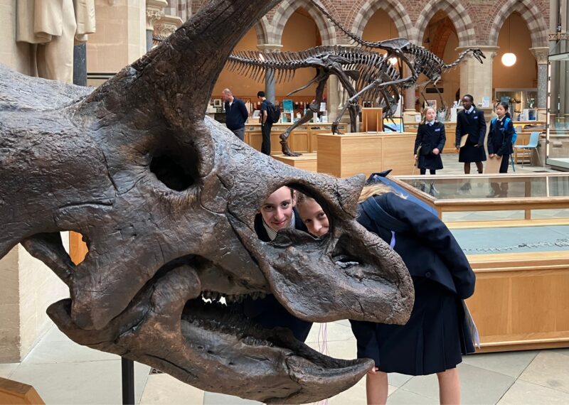 Two Girls looking through a dinosaur head skeleton in a museum